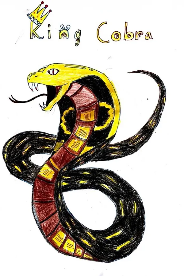 King Cobra, Aryaman Ghosh